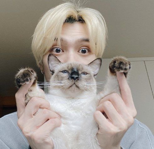 #HENDERY 2 cats