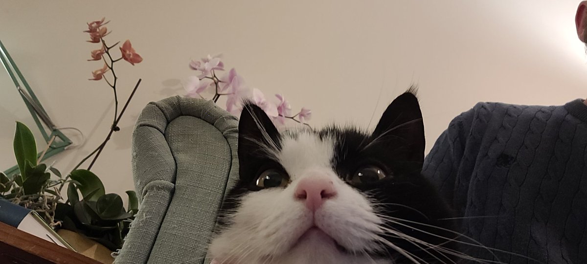 TBadekar's tweet image. 