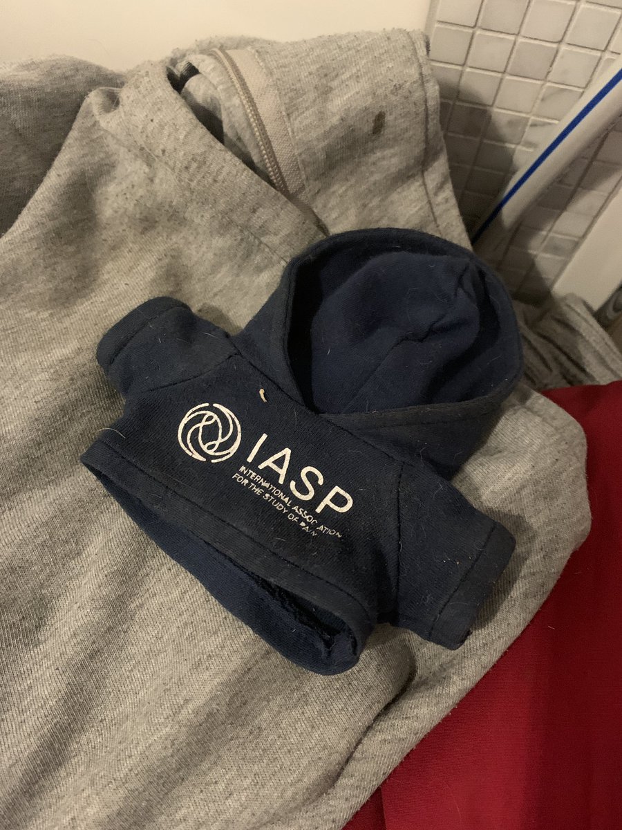 malinramne's tweet photo. The fact that I now have this tiny @IASPpain hoodie laying around, like the cherry on top of the pile of laundry… 🍒 https://t.co/DByj3Xj3Nh