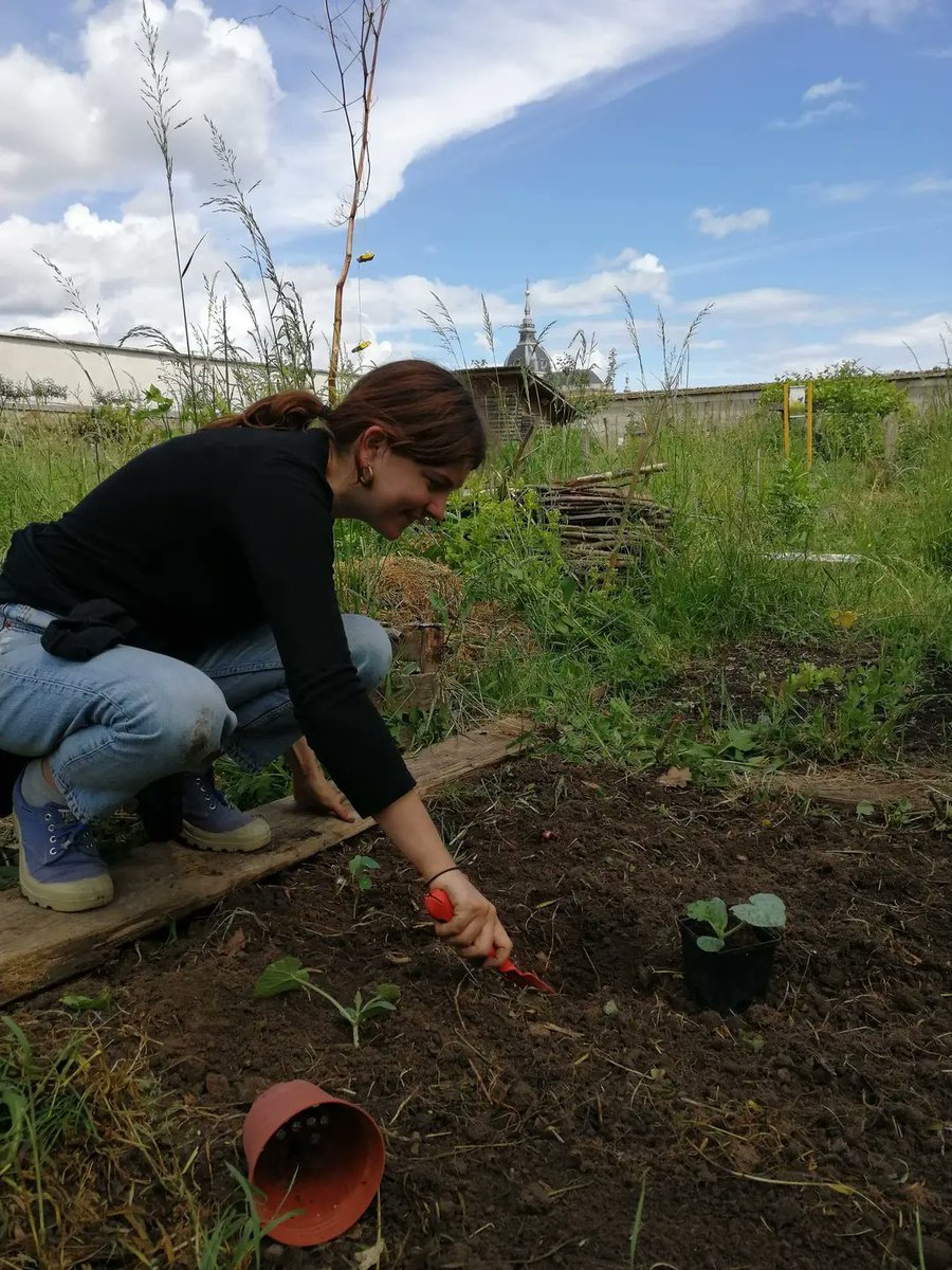 ebgoodfood's tweet photo. 1/ We are thrilled to introduce our new Food Partnership Coordinator! Nancy joins the Eastbourne Food Partnership fresh from several years spent in France, where she studied the interplay between city planning, biodiversity and food systems.. https://t.co/Zkgko1R1co