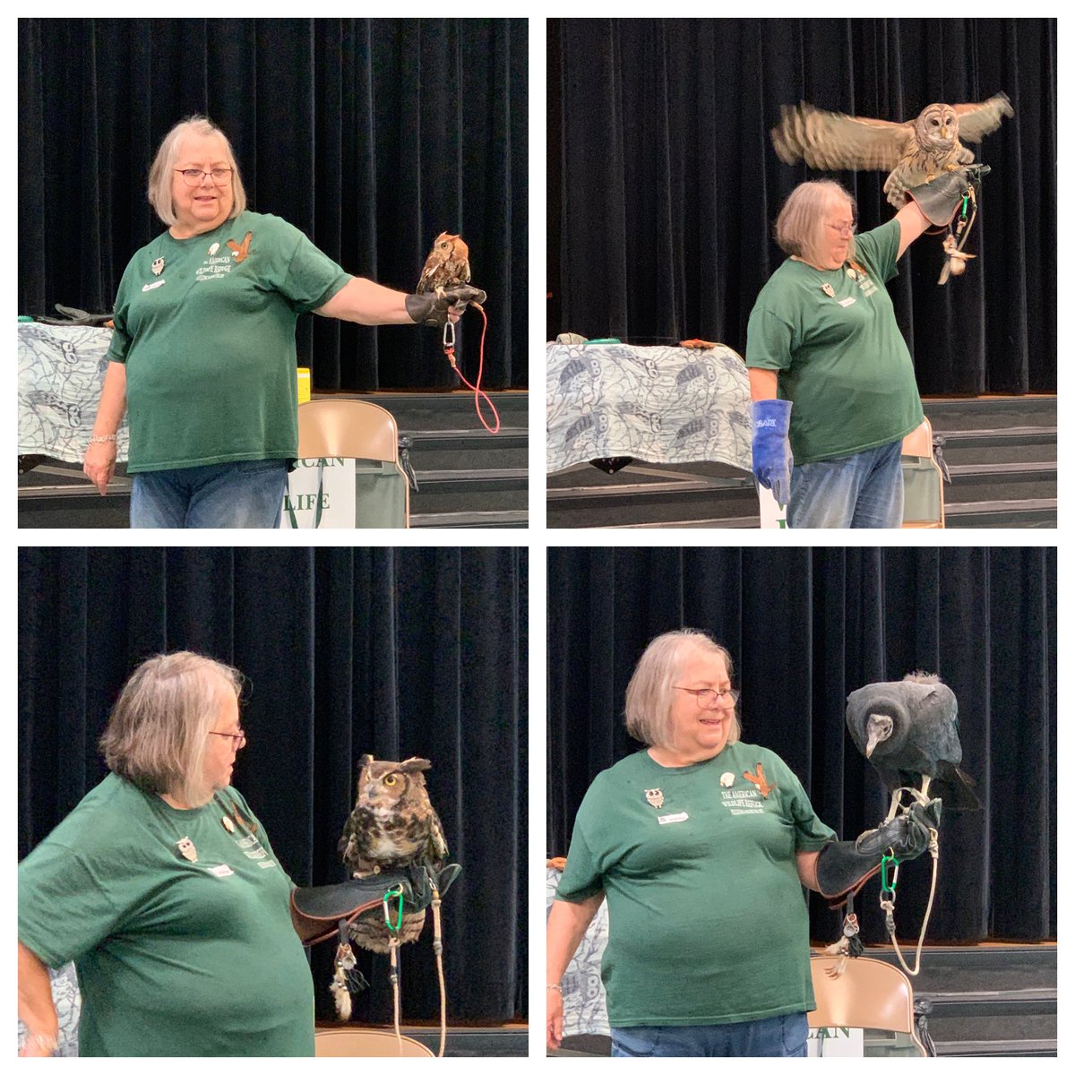 On our second stop, we saw Steve Stone, and friend, from Wildlife Refuge. 

L-R, top to bottom: Speedy the Screech Owl, ClickClack the Bared Owl, Rasputin the Grey Horned Owl, and Snoopy the Black Vulture

#WeAreMES <a href="/MustangsPTA/">MorrisvilleElemPTA</a> <a href="/MorrisvilleElem/">Morrisville Mustangs</a>