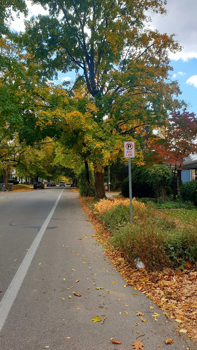 FabrizioBaldas6's tweet photo. Some more pics #Bloomfall #Midwestbest https://t.co/kygLQxGWSh