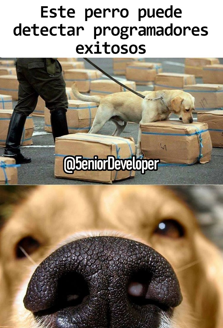 5eniorDeveloper's tweet image. Pero ya, pónganse a trabajar!