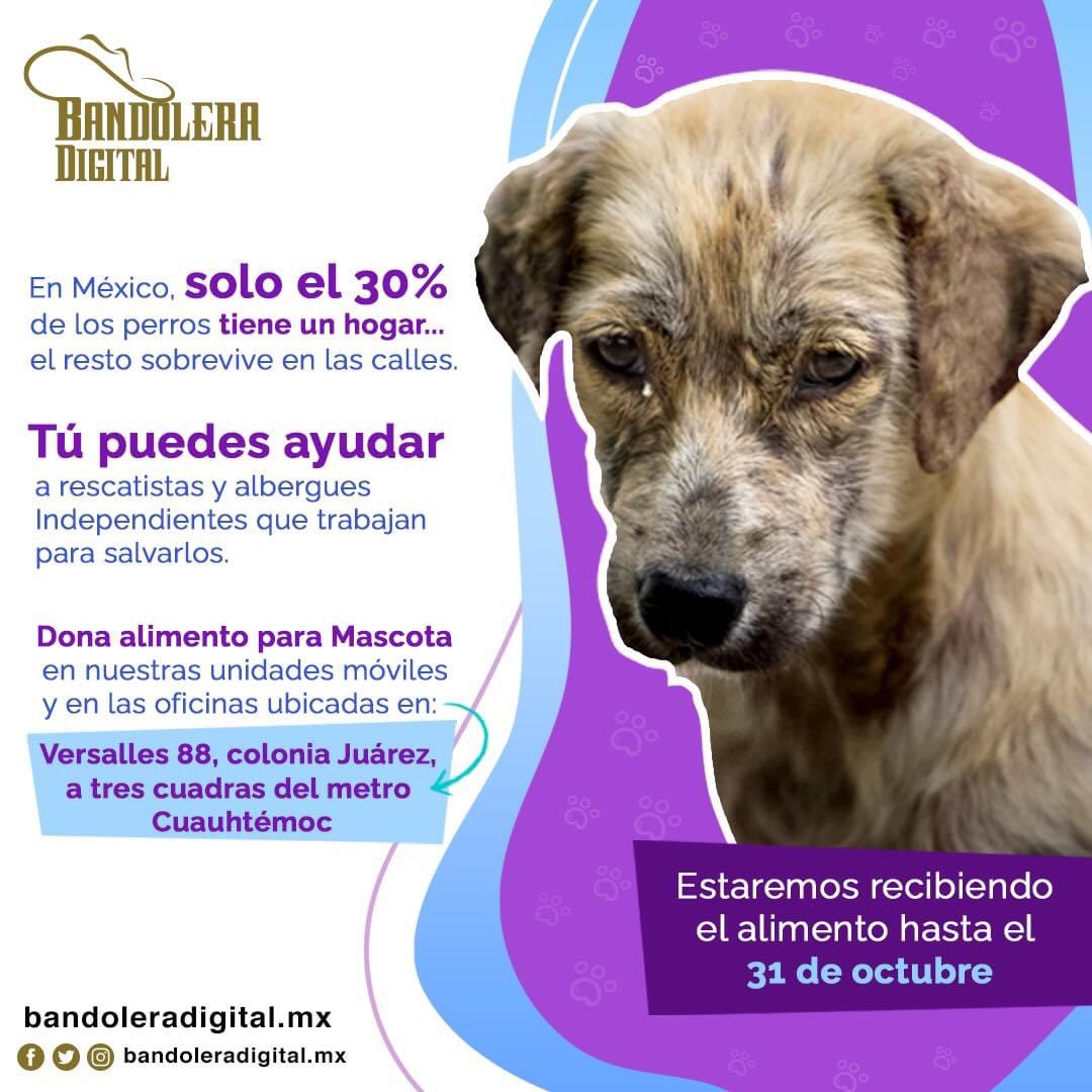 Sé parte de esta gran colecta de alimento para perros y gatos 🐱🐶 
Ayuda a los que más necesitan 🙌🤠