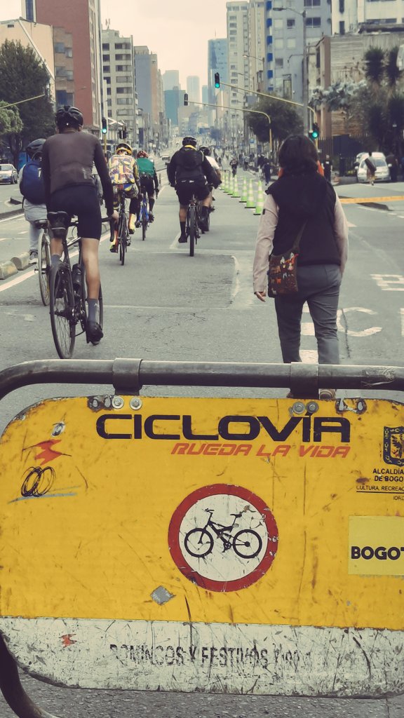 Marcela Guerrero Casas tweet media