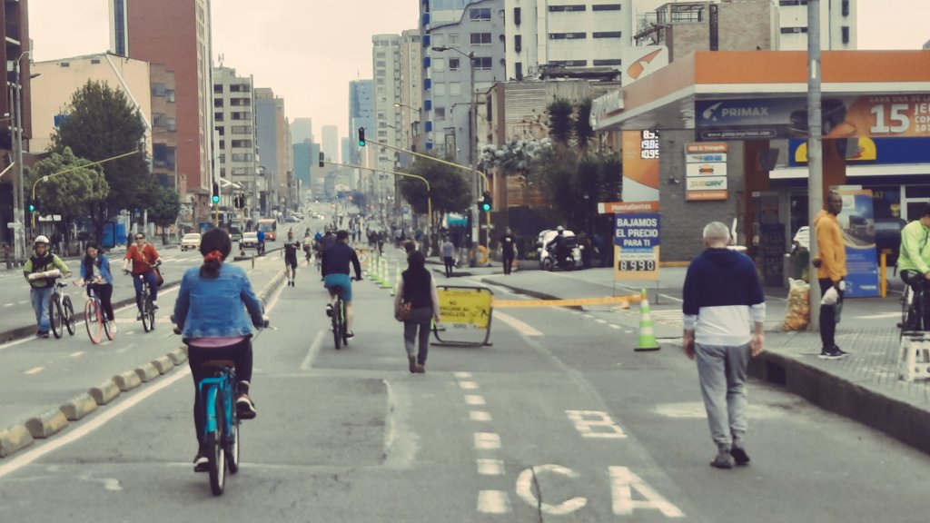 Marcela Guerrero Casas tweet media