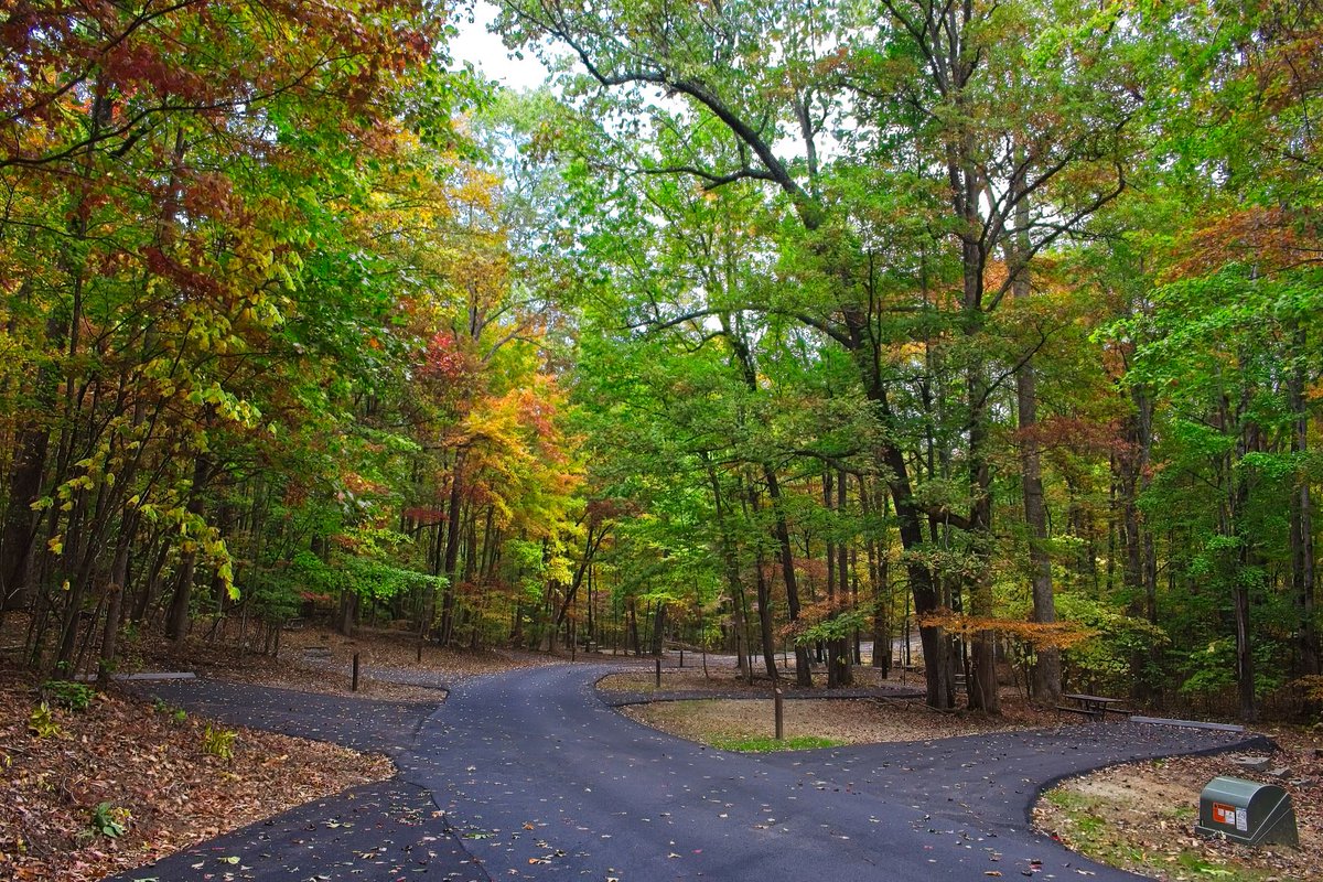 SmokiesFriends's tweet photo. Thanks to the generosity of our Friends #gsmnp was able to reopen #LookRock Campground this weekend after a 9-year closure. There's still an opportunity to contribute and be recognized on a picnic table plaque. Learn more: https://t.co/JfuuICyGkO.
#foothillsparkway #blountco https://t.co/rPlzRPnTuW