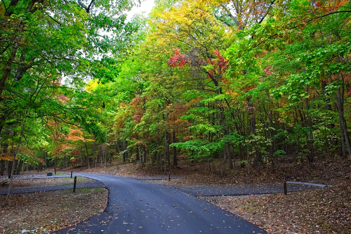 SmokiesFriends's tweet photo. Thanks to the generosity of our Friends #gsmnp was able to reopen #LookRock Campground this weekend after a 9-year closure. There's still an opportunity to contribute and be recognized on a picnic table plaque. Learn more: https://t.co/JfuuICyGkO.
#foothillsparkway #blountco https://t.co/rPlzRPnTuW