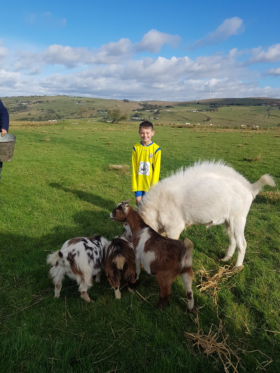 StephanieNight6's tweet photo. Christmas list time and Farmer Thomas has made his list. Most things on here for others (cats, dog. Dad 😥) rovers kit and new premier league football for himself (of which I've just seen the price ⚽️😮) ⚽️ What a lad. #thinkingofothers #selfless #animalsfirst #footballingfarmer https://t.co/BMFlRFTXdV