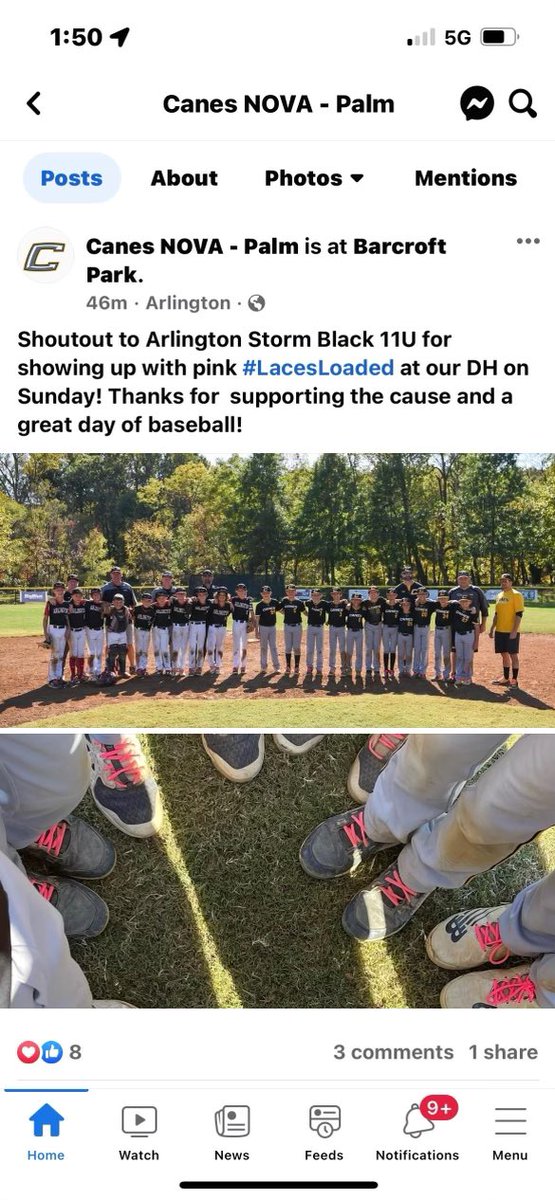 Arlington Storm Baseball tweet media
