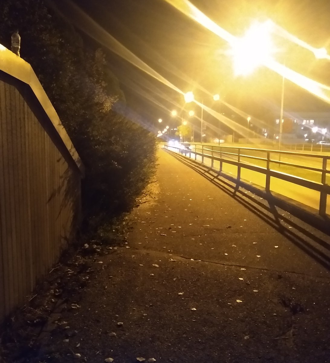 MarkoRumbin's tweet photo. @Turunliikenne Hei, teillehän kuuluvat istutuskaistat ajoradan ja kevyen väylän välissä. Itä-Turussa on useampi väylälle villiintynyt pensas. Tämä Jaanintieltä junaradan vierestä. 1/4 https://t.co/05vseOUlJ8