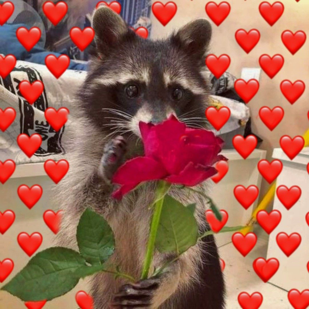 Hey <a href="/KFC_ES/">KFC</a> ! Un par de velitas, unos refrescos, un cubo de alitas, vuestro logo en nuestra camiseta... No sé piénsalo...