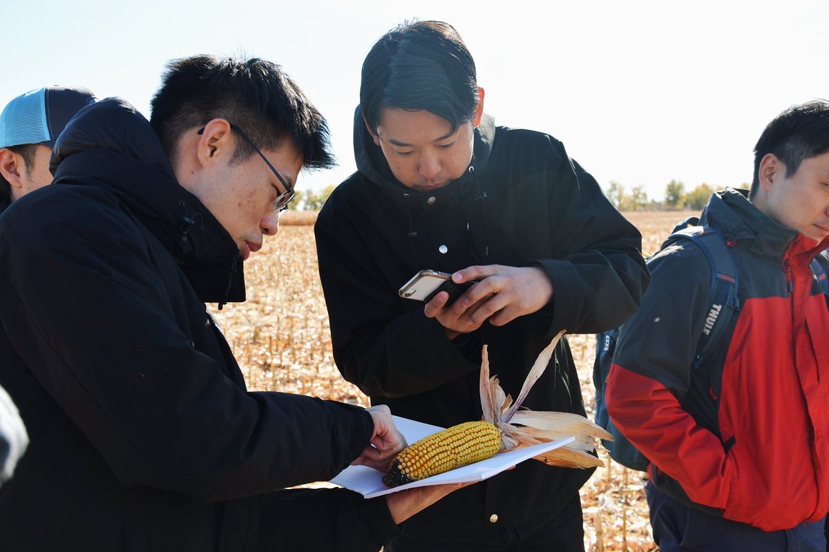 ndcorn's tweet photo. We had an excellent morning with our @USGC trade delegation from Japan this morning as we visited Tysen Rosenau, @ndcorn Chairman at his farm in Carrington, ND. Tysen was able to answer questions about corn quality, storage, drying methods, machinery, and more. #exex22 https://t.co/iPocHBMhh6