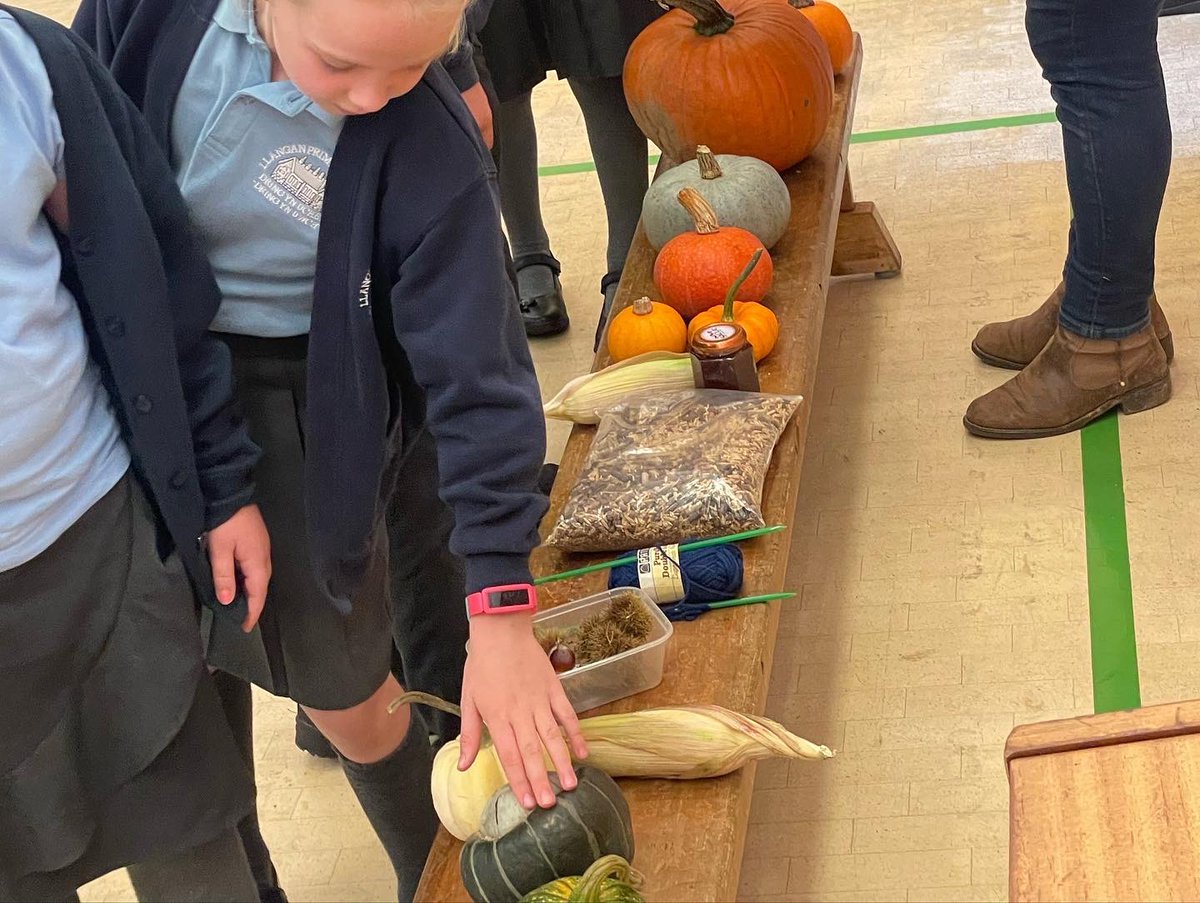 llanganprimary's tweet photo. Thank you @FUW for your amazing assembly, we loved it! @uac.fuw #farmingmatters #farmtofridge @WG_Education @VOGCouncil https://t.co/aBF5IoSz4n