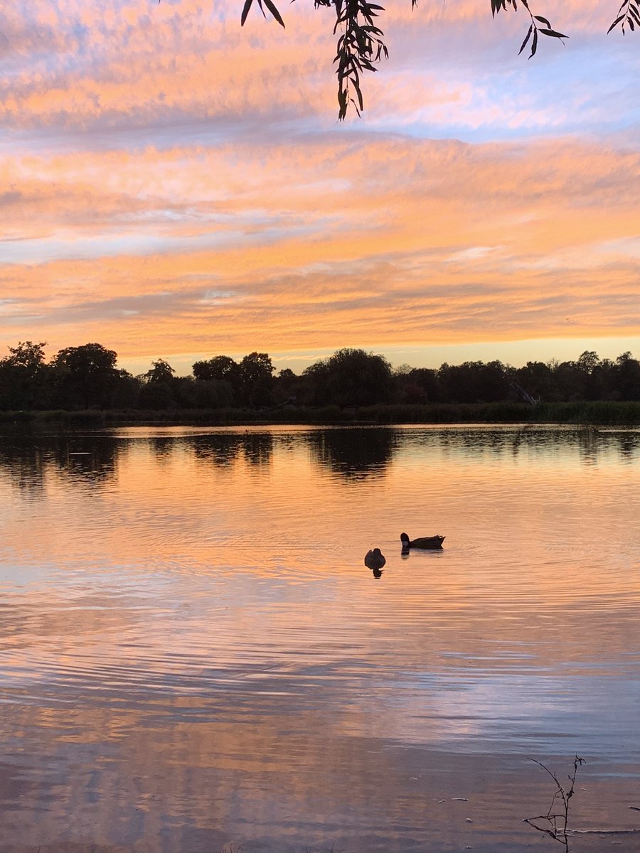 Stunning skies in Bushy Park this evening.