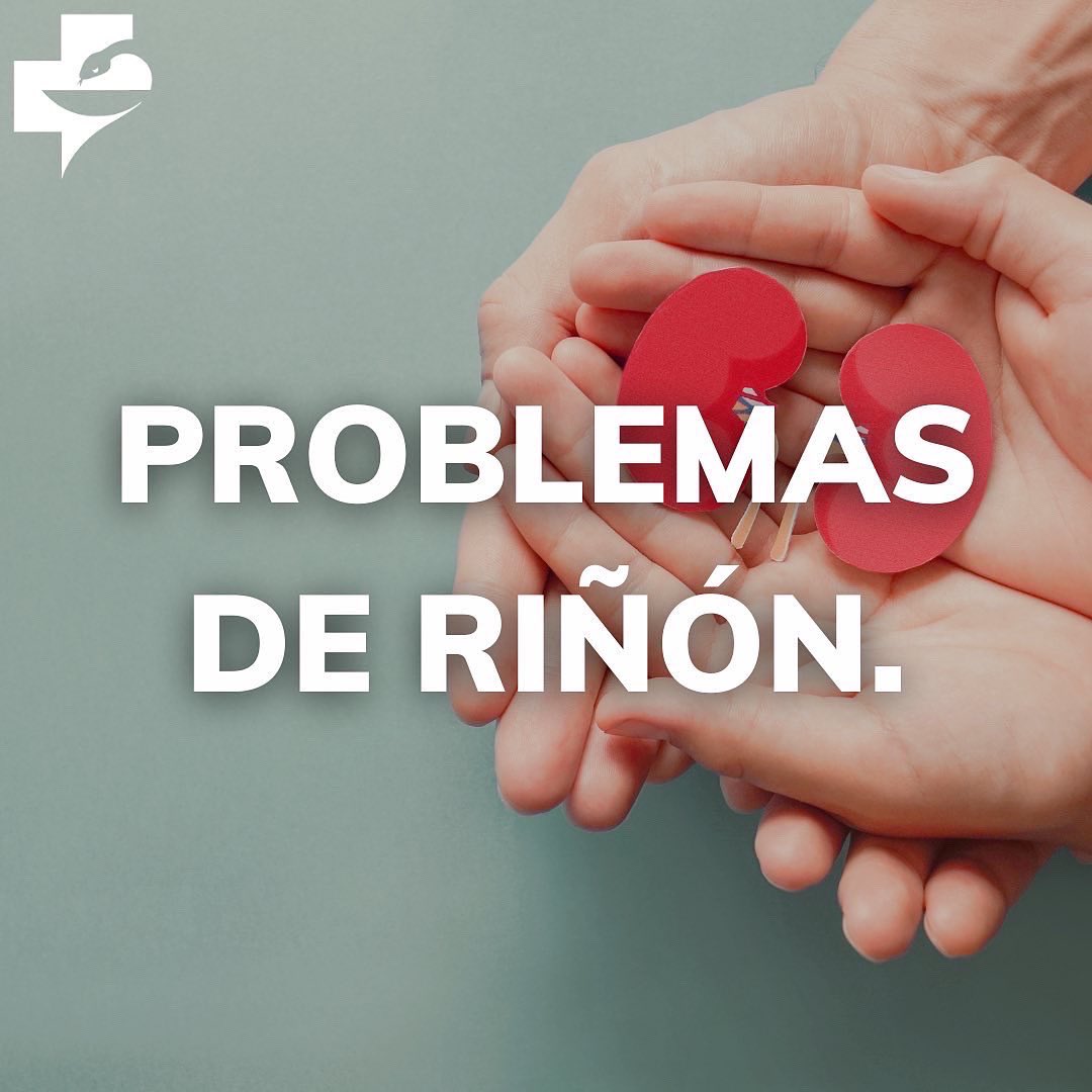 FrenaSol's tweet photo. Durante el embarazo… ¿Cuales son los riesgos derivados del lupus? 👨‍⚕️👩‍⚕️🧑‍⚕️ #lupus #luneslupus #lupuswarrior #lupusawareness #lupuslife #lupusenespanol #lupusyamigos #lupus2022 #fefac #farma #farmaceutico #farmaceutica #farmaceutic #farmacia https://t.co/S1ZBqqc03z
