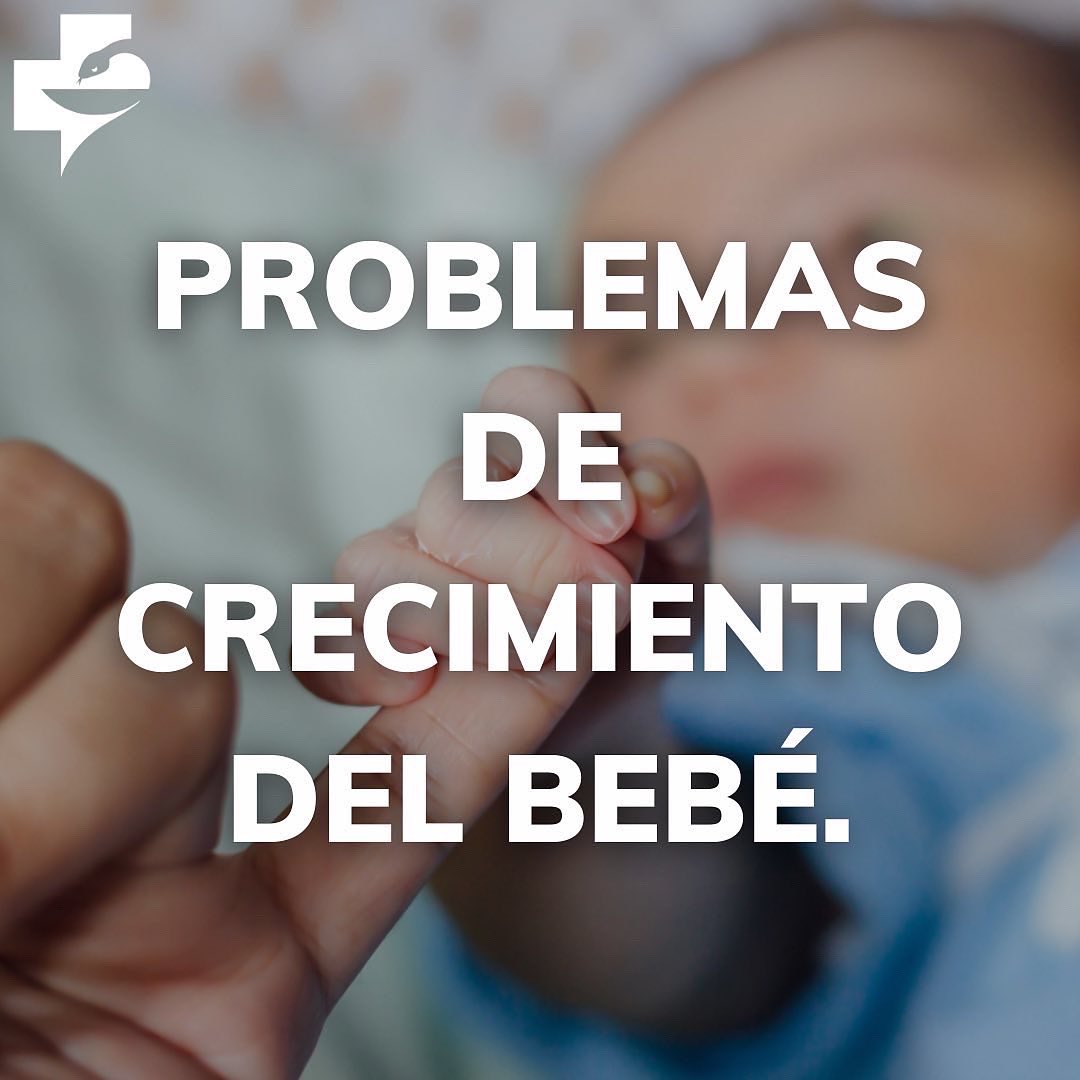 FrenaSol's tweet photo. Durante el embarazo… ¿Cuales son los riesgos derivados del lupus? 👨‍⚕️👩‍⚕️🧑‍⚕️ #lupus #luneslupus #lupuswarrior #lupusawareness #lupuslife #lupusenespanol #lupusyamigos #lupus2022 #fefac #farma #farmaceutico #farmaceutica #farmaceutic #farmacia https://t.co/S1ZBqqc03z