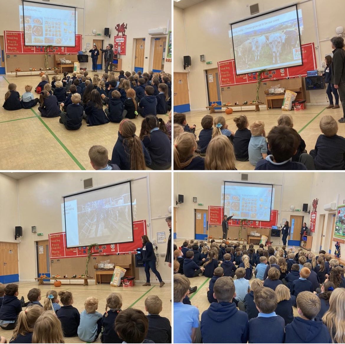 llanganprimary's tweet photo. Thank you @FUW for your amazing assembly, we loved it! @uac.fuw #farmingmatters #farmtofridge @welshgovernment https://t.co/eOx5V79wcL