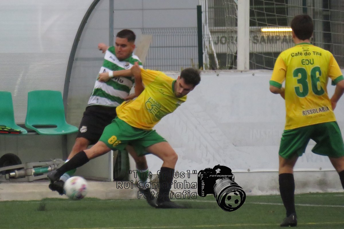Rui Camarinha tweet media