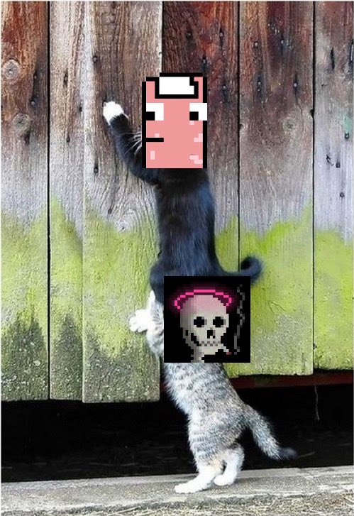 CanToeNFT's tweet photo. Chain halted, Wat do? Let’s giveaway some Toes! 

Since @BASEDghouls have been such big supporters of us these past 2+ months we’re gunna giveaway 10 CanToes to their Holders! 

To Enter: 

Like/Retweet/Tag 3 Ghoul frens👇

#Canto #NFTGiveaway #NFT #BasedGhouls #CanToe #BASED https://t.co/VZZfou5Meu