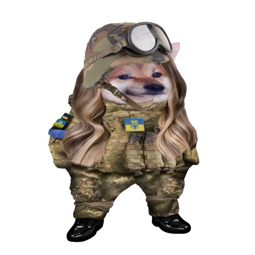 Et Voilà! 🥰
I'm officially a part of #NAFO family 💙💛 Together we will win on all fronts! #SlavaUkraïni 
#NouvellePhotoDeProfil #NewProfilePic #NAFOFella #NAFOExpansion