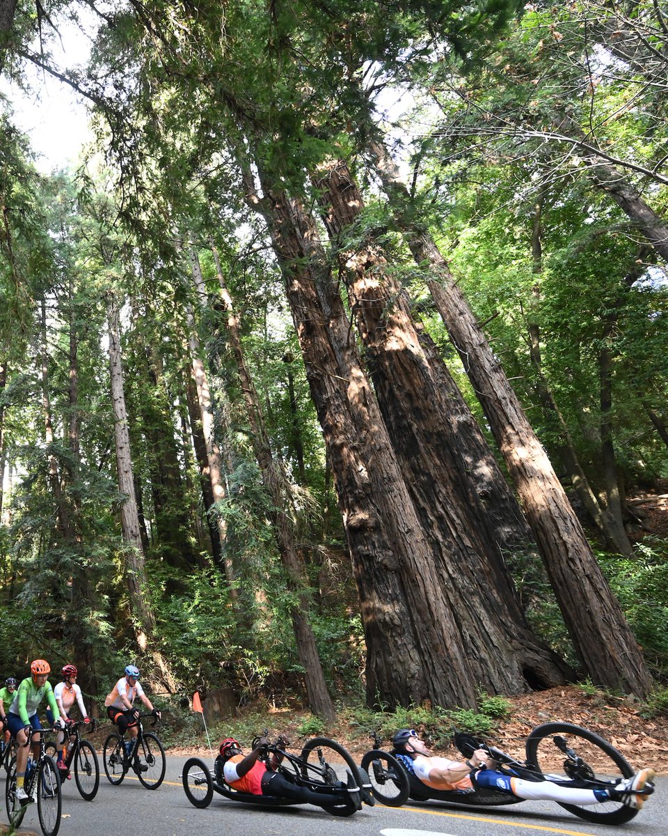 CAFoundation's tweet photo. 50% of adults w/a disability get NO aerobic exercise. CAF’s Million Dollar Challenge riders are riding 640 miles to help, w/diamond sponsor Tech Sgt Jack Kushner Foundation. Bring access + community through sport to those w/permanent physical disabilities: https://t.co/y2Py5l0uli https://t.co/mziaM4IMPQ