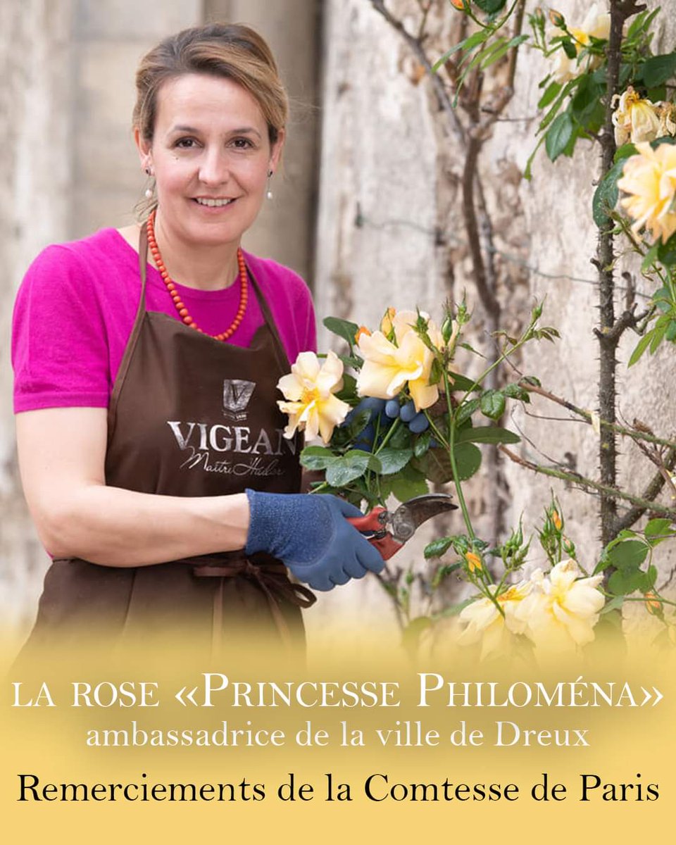 ⚜️ Les remerciements de la Comtesse de Paris à @dreuxofficiel pour avoir baptisé sa rose 'Princesse Philomena'. 🌹 comtedeparis.com/la-rose-de-dre…