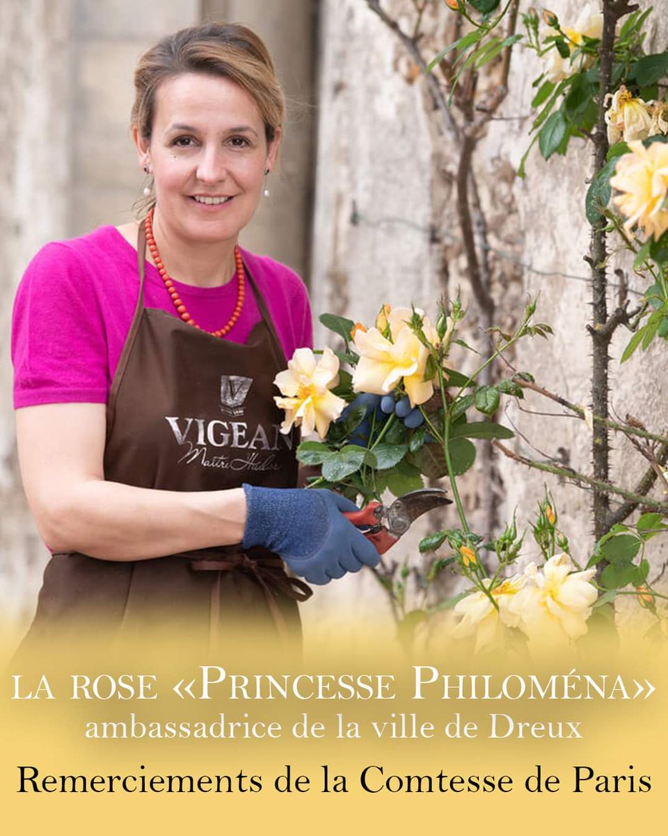 ⚜️ Les remerciements de la Comtesse de Paris à <a href="/dreuxofficiel/">Dreux Officiel</a> pour avoir baptisé sa rose "Princesse Philomena". 🌹

comtedeparis.com/la-rose-de-dre…