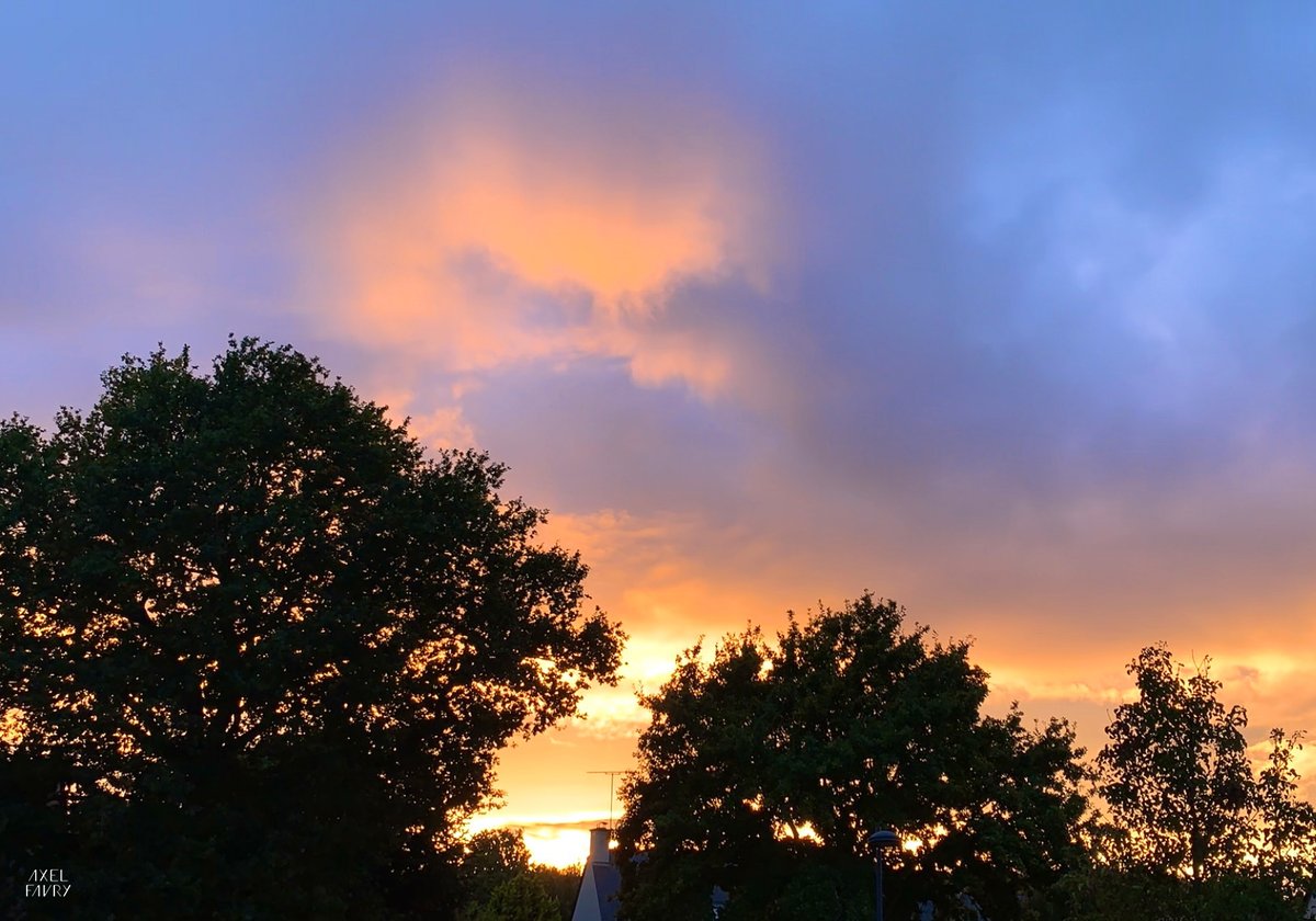 AxelFavry's tweet photo. Halloween is coming! 🎃
#sunset #citrouille #Breizh https://t.co/Z8Mxh6IlM9