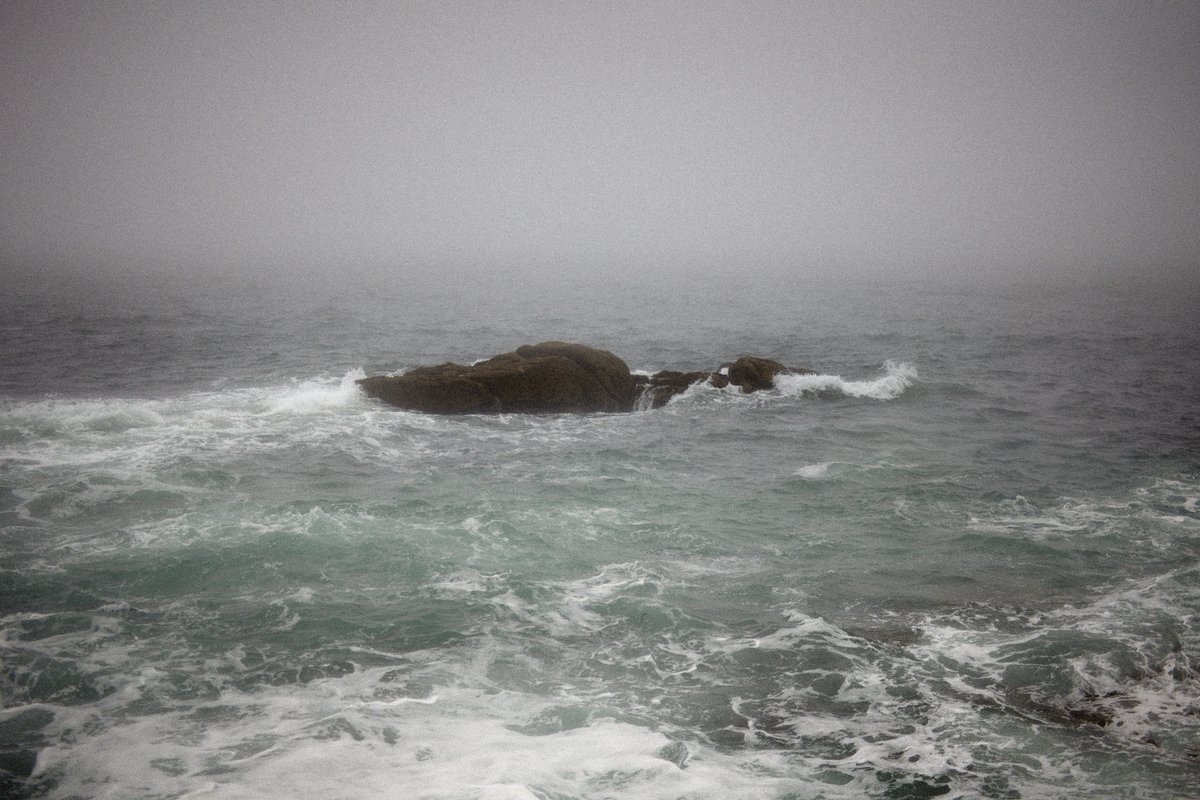 ciaparra's tweet photo. Philippe Ciaparra
Deux regard sur la l'océan 
Finistère, 09 2022
https://t.co/A9qjd5vu6m https://t.co/wLFKQjU5uF