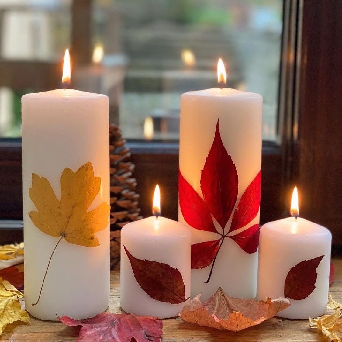 MudandBloom's tweet photo. Decorate candles with pressed leaves 🕯🍂🍁
These are so pretty and make lovely homemade gifts! You just need candles, pressed leaves, boiling water, greaseproof paper, a cup and two spoons.
👉🏼https://t.co/H7v2LbHD4G
#leafcrafts #naturecrafts #mudandbloom #autumnleaves https://t.co/EfLrnVFtJd