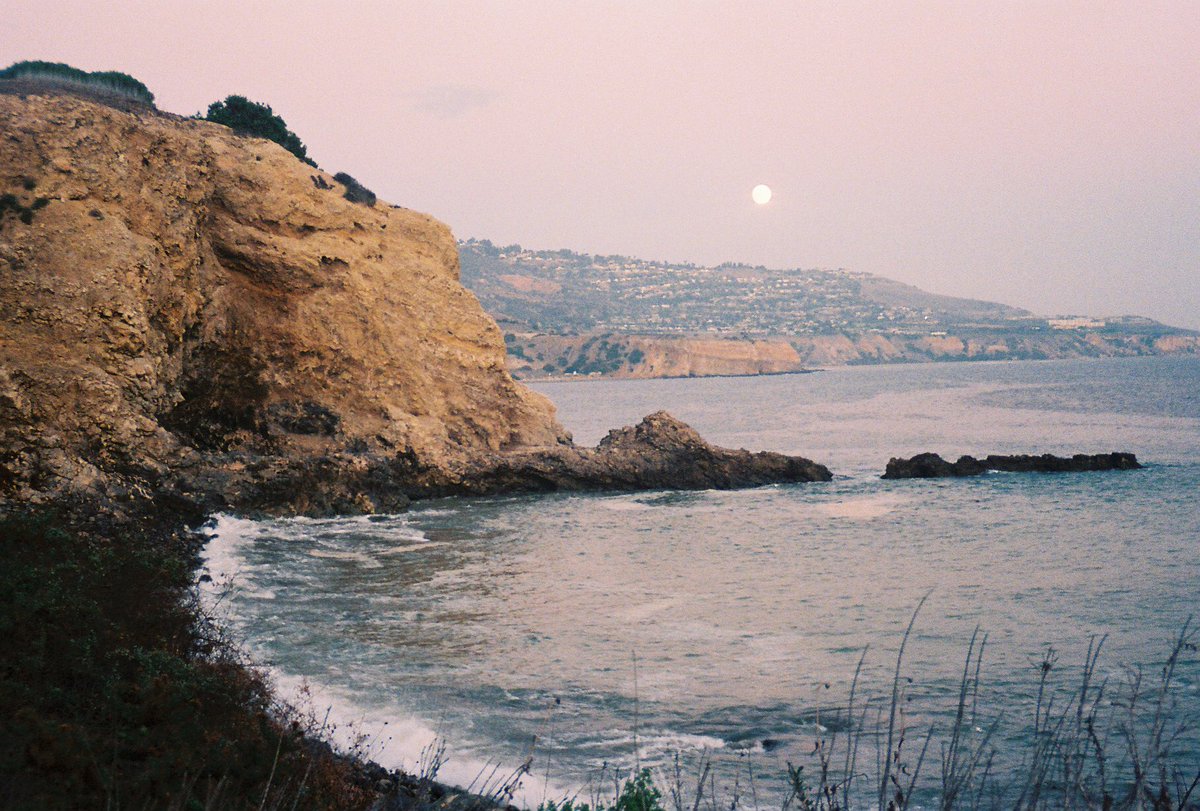 g0thh0bbit's tweet image. unedited photos from my latest 2 rolls of film 💕 #filmisnotdead #35mm #35mmfilm #lomopurple #lomography