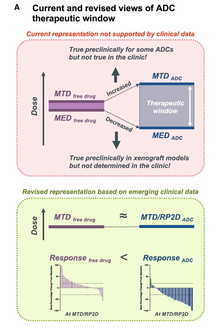 PTarantinoMD's tweet image. What is the secret behind the success of novel ADCs? In this unmissable @Cancer_Cell commentary, the authors highlight how the increased efficacy at doses close to the MTD, rather than improved therapeutic index, makes the difference in the clinic.
cell.com/cancer-cell/fu…
