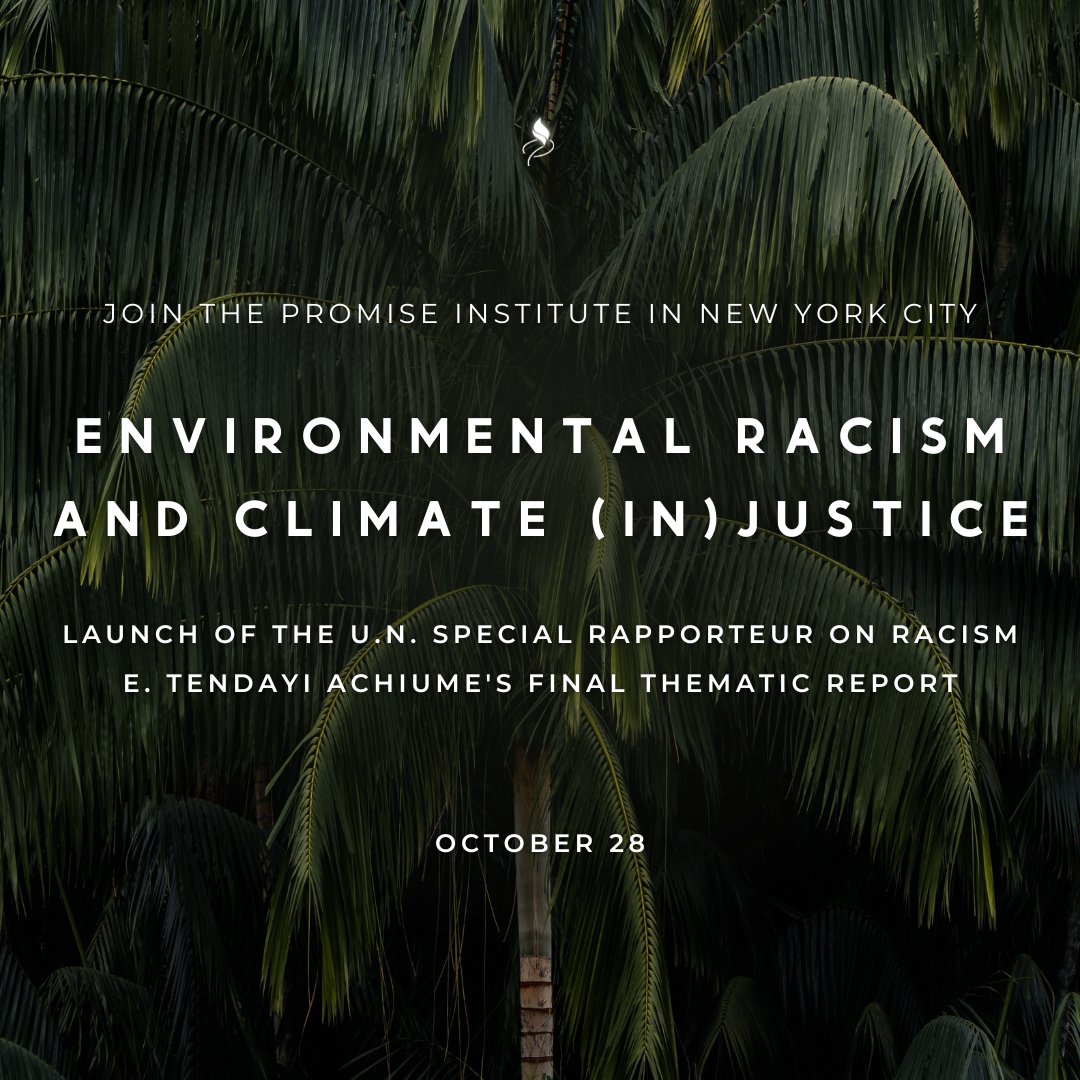 PromiseInstUCLA's tweet image. Join us in NYC 10/28 to launch UNSR Racism E. Tendayi Achiume&apos;s final thematic report on enviro. racism &amp;amp; climate (in)justice

W/
@milostene (AREDE)
@SarahMolinari (@PRSyllabus)
@elliehappel (@nyu_gjc)
Promise&apos;s Racial Justice Policy Counsel @PriyaMorley

forms.gle/XQEjbm8bQ7ALfA…