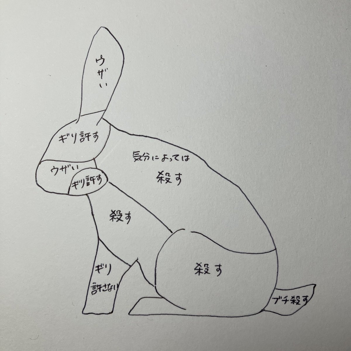 ウサギお触り一覧表というイラストに兎飼いが共感 うちの子は違う と個体差を伝える兎飼いも Togetter