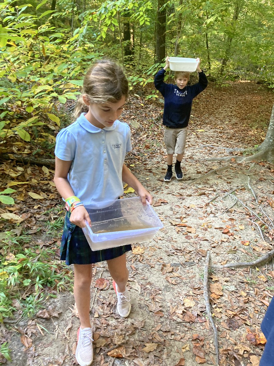 rebecca maas tweet media