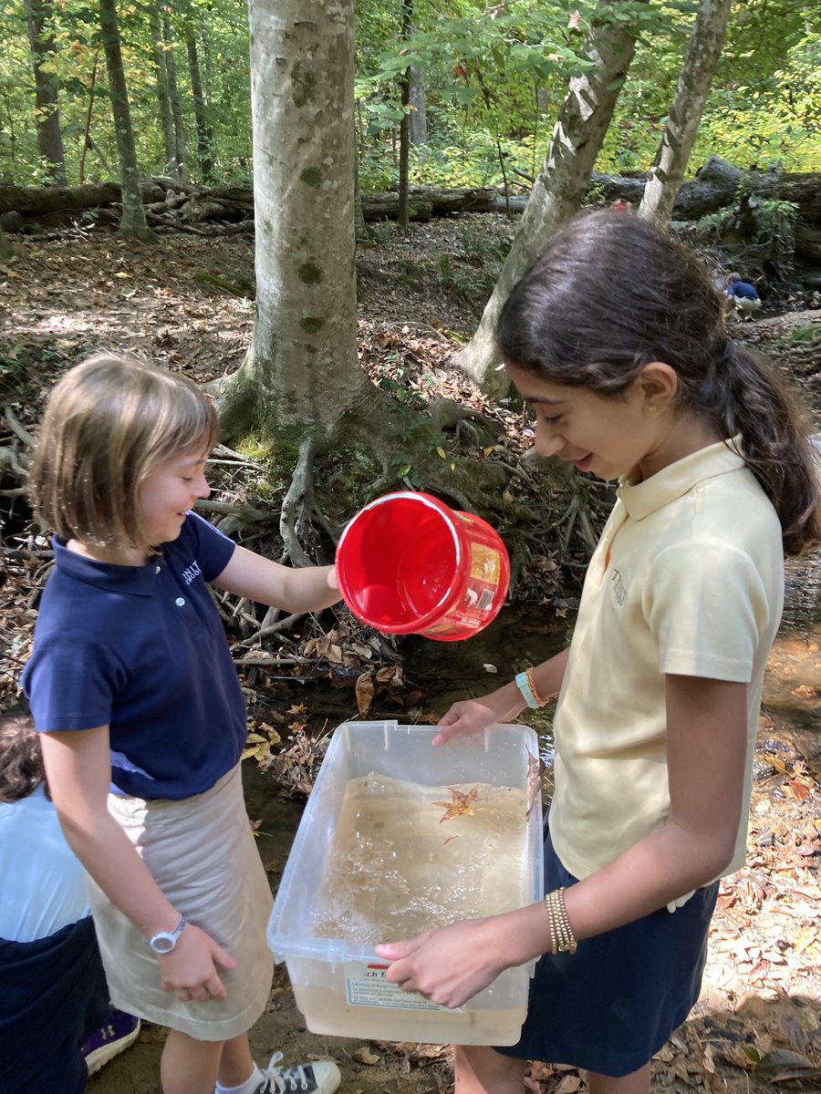 rebecca maas tweet media