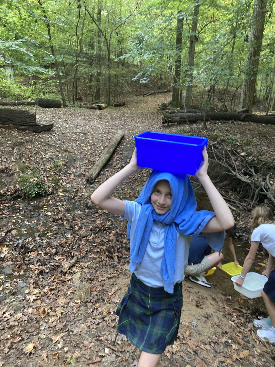 rebecca maas tweet media