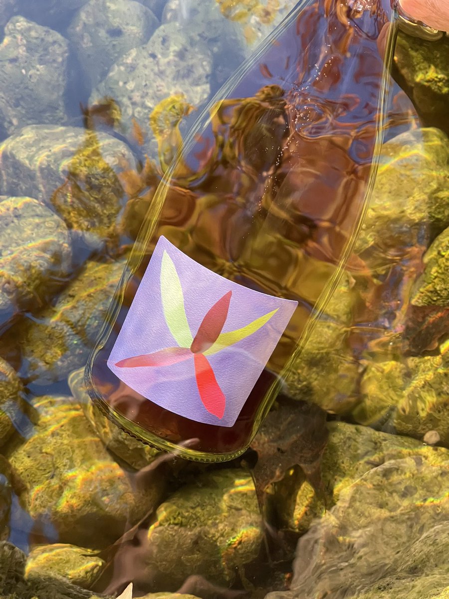We’re dropping 3 new botanical blends this week :)

Stay tuned &lt;3