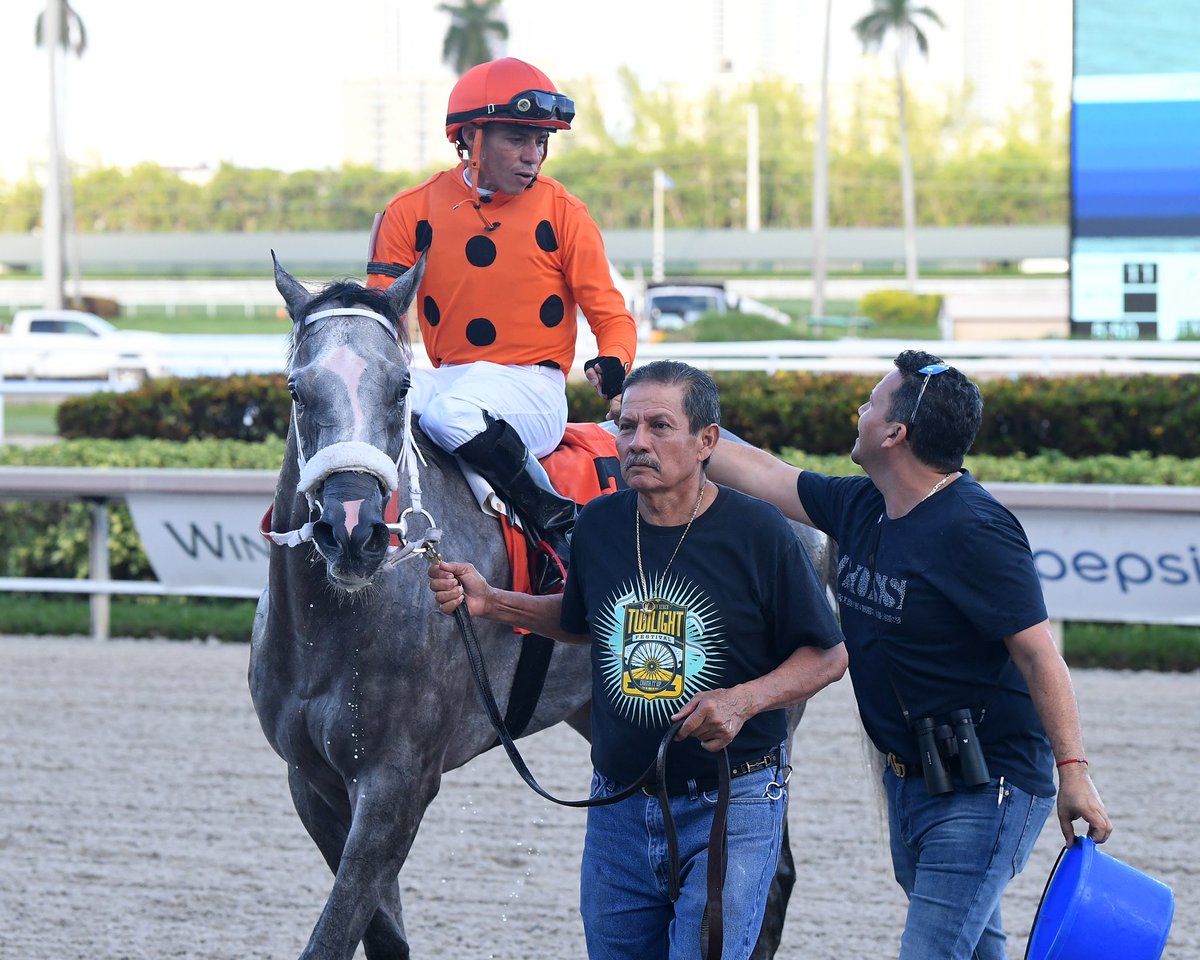 gzerparacing's tweet photo. #17Oct Rare Jewel 

Jockey: Emisael Jaramillo @JaramilloJockey 
Trainer: Gilberto Zerpa 
Owner: Elena Racing Inc 
Maiden Claiming $12,500 • Tapeta 

4️⃣th victory for Gilberto Zerpa #SunshineMeet Sunday, October 16, 2022 #GulfstreamPark 

📸 @coglianesephoto https://t.co/Ldk9mkyNXJ