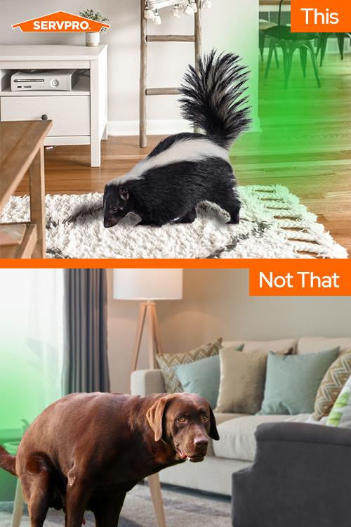 Know when to pro. Call SERVPRO for. . .
(281) 412-6211
CALL NOW