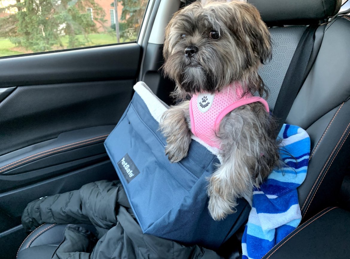 Heather Holshoe tweet media