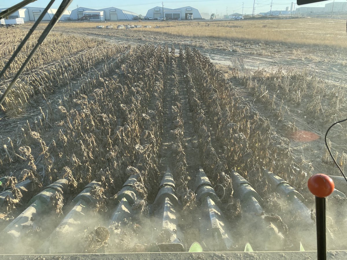 wazzu95's tweet photo. That’s a wrap for harvest 2022 https://t.co/V8ewkAJ9ms