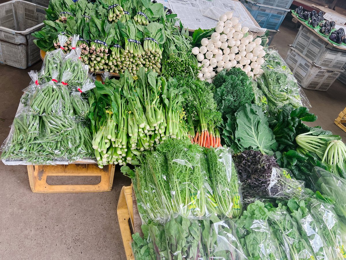 shokuiku_go's tweet photo. 😊🥬地産地消🥕😊
今日は、お仕事お休みなのに早起きしてしまったので以前から行きたかった【生産直売所】へ行ってきた🚃
新鮮野菜てんこ盛りでテンション爆上げ✨🤩🥳
#直売所推し#食育#地産地消#逗子生産直売所 https://t.co/MVP2qTJQ48