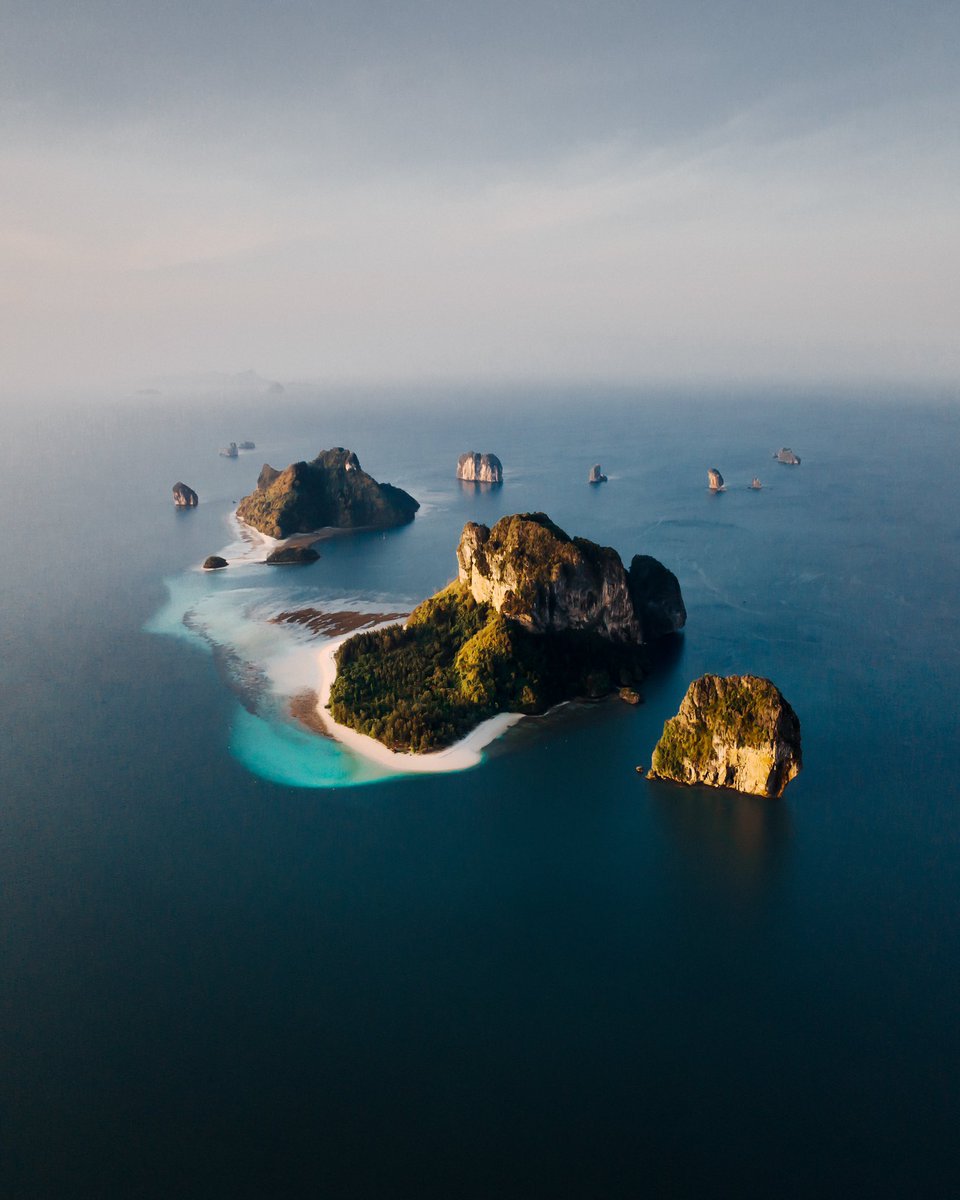 Ben Savage tweet media