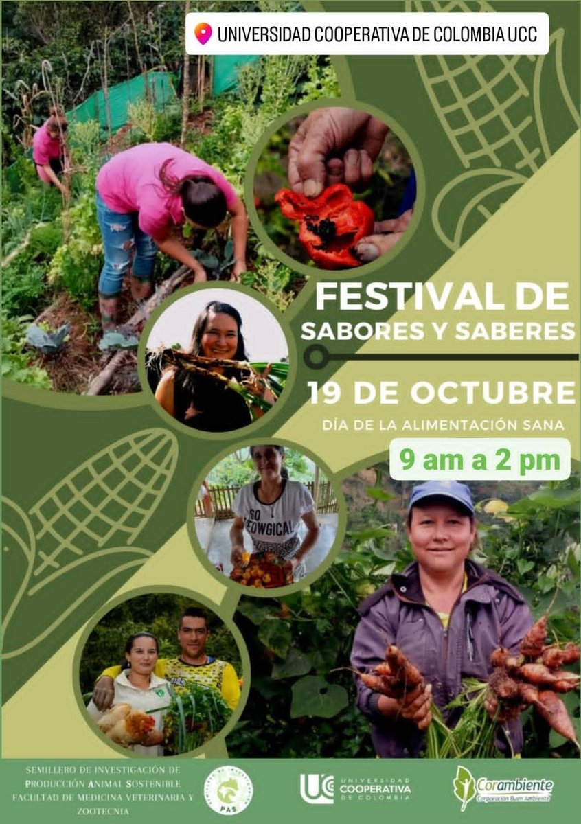 Corambiente tweet media