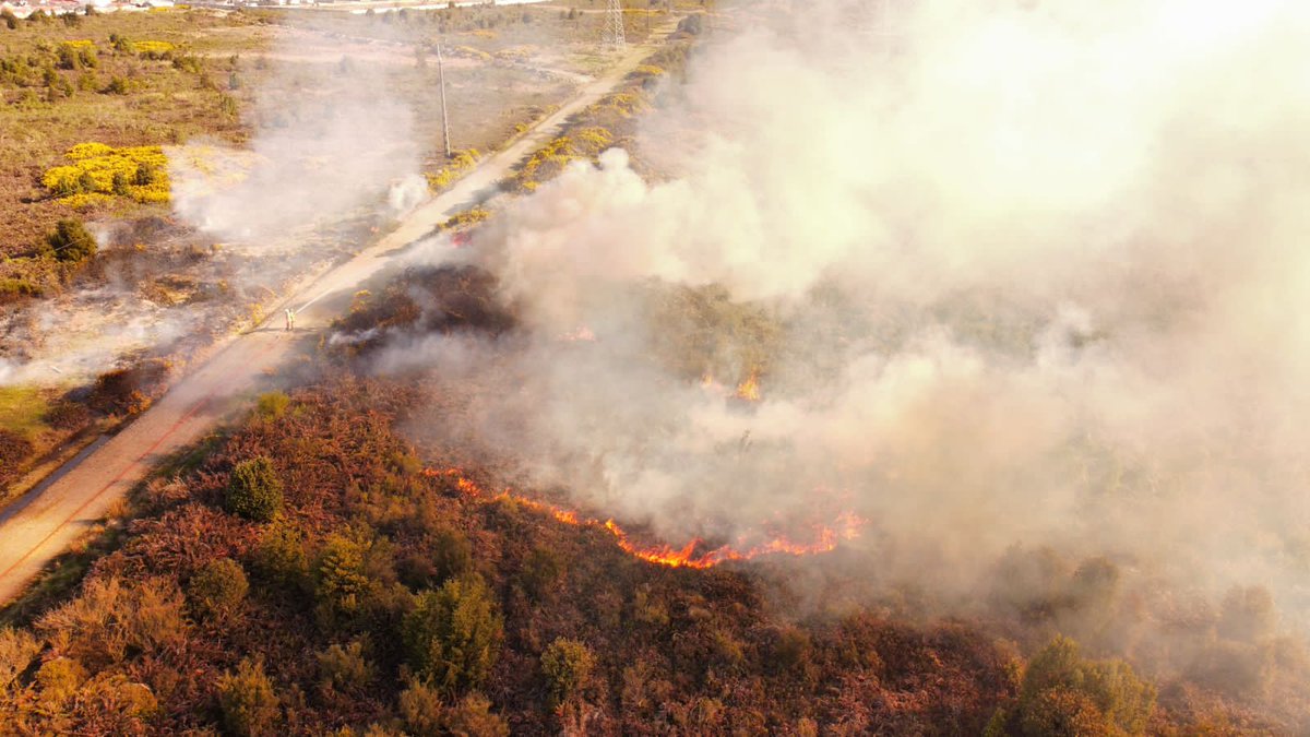 OctavaCBPM's tweet image. Durante esta tarde trabajamos con nuestro carro B-8 y junto a 3ra compañía y personal de CONAF en Incendio de matorrales de mediana extensión en la ruta a El Tepual.  #PuertoMontt