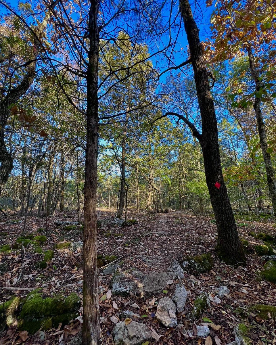 mac_cheeves's tweet photo. “play some back home, come on music, that comes from the heart”
🎶 @TheAlabamaBand #mountainmusic
#tristaradventures #seenonmyrun #trailrunning #runtn #leavenotrace #yetirunners #hillbillyviking
@yeti_runners @TristarAdventur https://t.co/Rom3EFdSUw