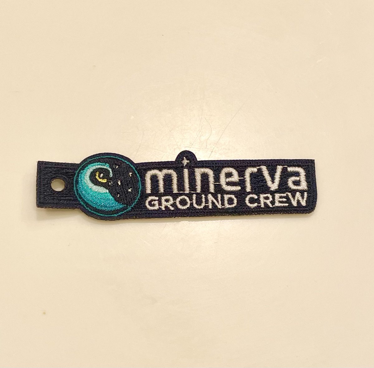 Annalyn Picken (@islandgrl515) on Twitter photo Welcome home <a href="/AstroSamantha/">Samantha Cristoforetti</a>!! I hope you like the cookies I baked! Thank you for the Minerva Ground Crew patch that your Flight Surgeon gifted me! 💕⭐️🌏🌟 Welcome home <a href="/AstroSamantha/">Samantha Cristoforetti</a>!! I hope you like the cookies I baked! Thank you for the Minerva Ground Crew patch that your Flight Surgeon gifted me! 💕⭐️🌏🌟