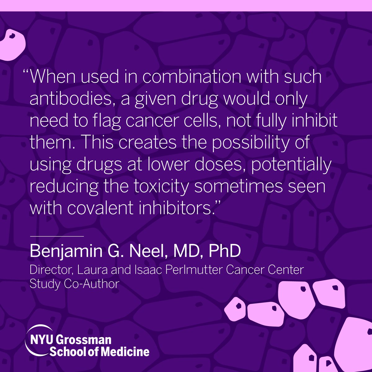 A recent study led by <a href="/Perlmutter_CC/">Perlmutter Cancer Center at NYU Langone Health</a>'s <a href="/DrBenNeel/">Benjamin Neel</a> has shown that a new biotechnology platform they developed might overcome ways cancer cells usually evade certain major treatments, using a two-phased approach.

Learn more: bit.ly/3S7QatW